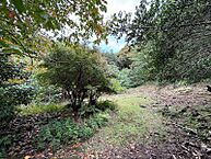 静岡県賀茂郡東伊豆町白田：物件画像