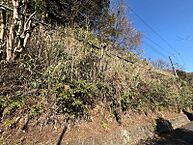 静岡県伊東市鎌田：物件画像