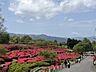 周辺：小室山公園（1562m）