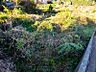 その他：【現地写真】穏やかな住環境です