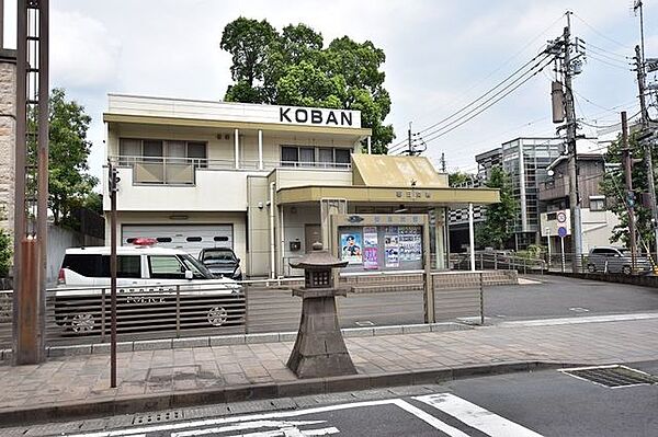 周辺を拡大表示