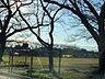 周辺：三本松公園 200m