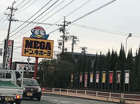MEGAドン・キホーテ 豊橋店 1150m