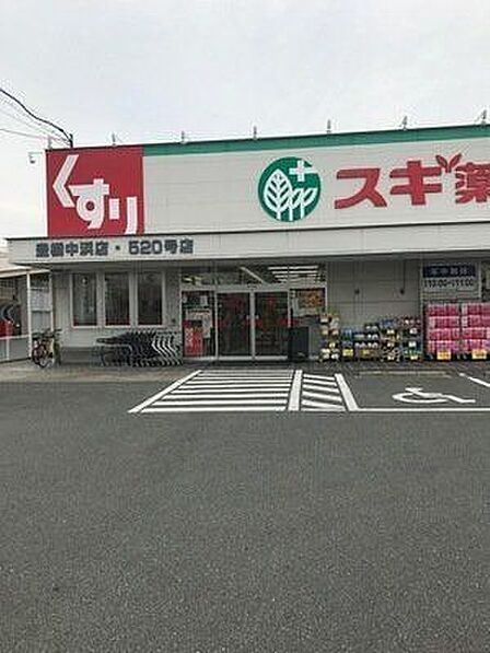 スギ薬局 豊橋中浜店 840m