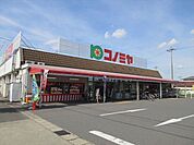 コノミヤ甚目寺店　地元の人達に愛されるお店を目指しています。営業時間9