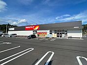 ツルハドラッグ南国岡豊店 2900m