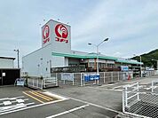 コメリハード＆グリーン野市店 1000m