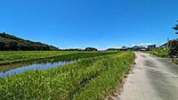 高知県香美市土佐山田町楠目：物件画像