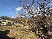 ★大宮小学校★