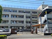 高知市立はりまや橋小学校 市立はりまや小学校 1000m
