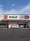 ドラッグセイムス横内店 1000m