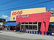 コープよしだ 900m