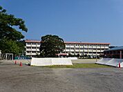 大龍小学校【鹿児島市立大龍小学校】は、大竜町に位置する1884年創立の小学校です。令和3年度の生徒数は343人で、15クラスあります。校訓は「敬天愛人　奮励努力」です。 1170m