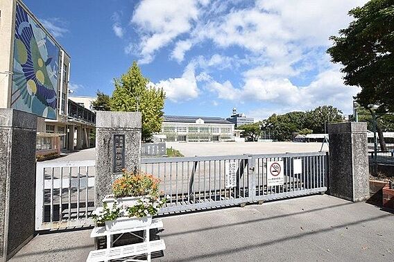 【鹿児島市立南...