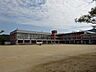 周辺：【鹿児島市立牟礼岡小学校】は、牟礼岡1丁目に位置する1987年創立の小学校です。令和3年度の生徒数は93人で、8クラスあります。校訓は「あかるく　かしこく　たくましく」です。 800m