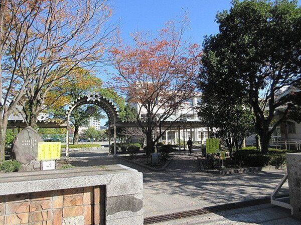 周辺を拡大表示