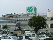 ラピタ本店ラピタ本店 440m
