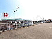 コメリハード＆グリーン 古志店 1341m