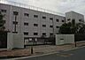 周辺：横内小学校 500m