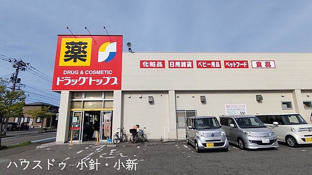 周辺 新潟市西区小針4丁目