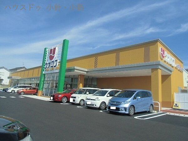 周辺を拡大表示