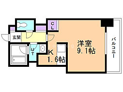 ビッグパレス北14条 10階
