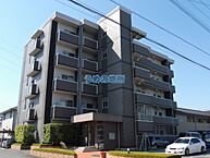 福岡県久留米市山川安居野3丁目：物件画像／うめの地所株式会社　国分店