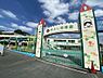 周辺：仲よし幼稚園 徒歩12分。 950m