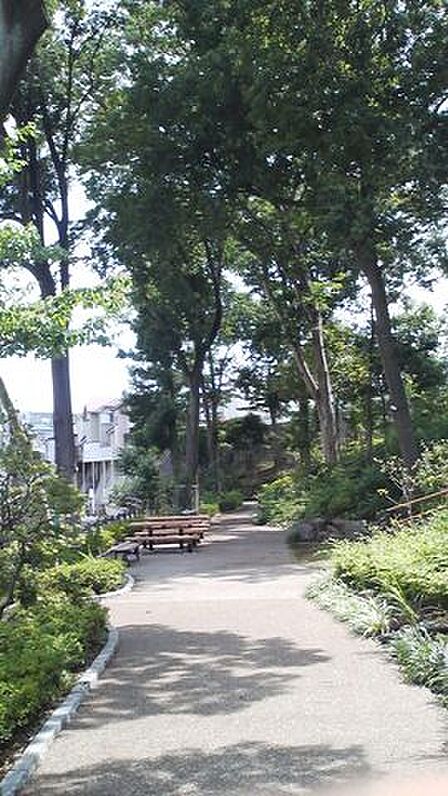 南希の森緑地1 徒歩4分。 260m
