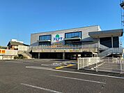 ドラッグスギヤマ三郷西店 340m