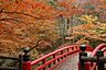 周辺：岩屋堂公園鳥原川沿いに広がる、豊かな自然に囲まれた景勝地です。名物の「天然プール」や美しい滝、ライトアップが絶景の紅葉など、四季折々の魅力を楽しめます。家族で一日中リフレッシュできる地域の心強い憩…