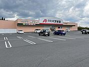 クスリのアオキ 皐ヶ丘店 2050m
