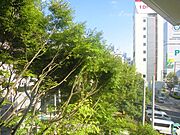 参考写真