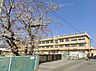 周辺：玉幡小学校まで579ｍ