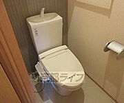 綺麗です