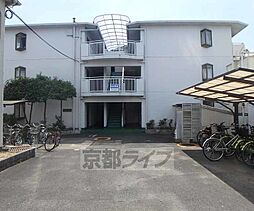 6 / 11