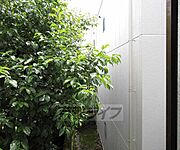 窓の外の風景です