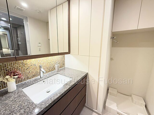 洗面 5駅10路線利用可能〜パークコート浜離宮ザタワー　22階〜 22階/-