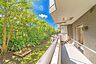 その他：マンション敷地内の植栽が映える眺望