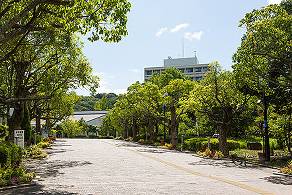画像13:大学1「神戸市外国語大学(キャンパス)まで650ｍ」周辺には「神戸市外国語大学」「神戸芸術工科大学」「兵庫県立大学」など教育機関が密集していて、研究学園都市の名のとおりアカデミックな雰囲気。学生街のよ