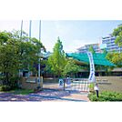 幼稚園・保育園「いるか幼稚園まで643ｍ」