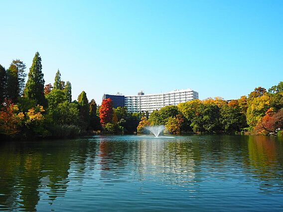 井の頭公園まで...