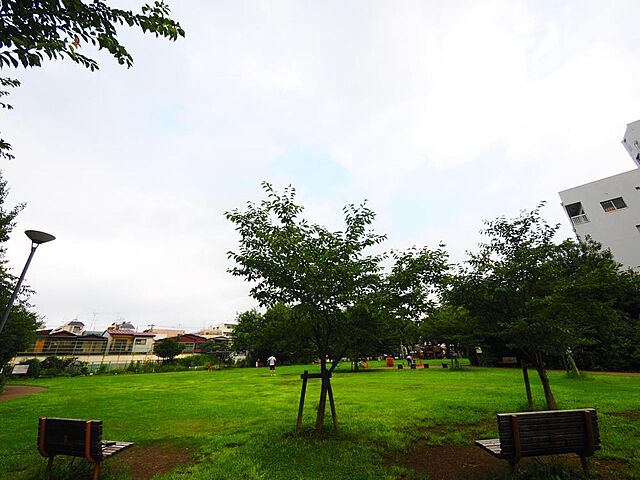 周辺 新宿区西落合1丁目