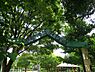 周辺：練馬はらっぱ公園まで約444m