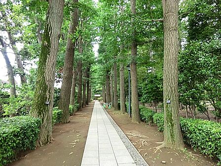 大田黒公園まで約875m