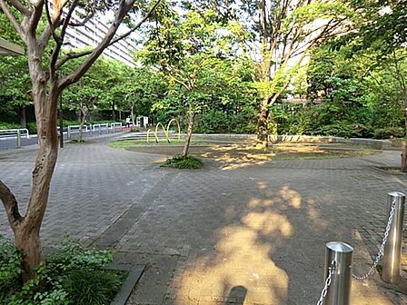 緑風公園まで約188m