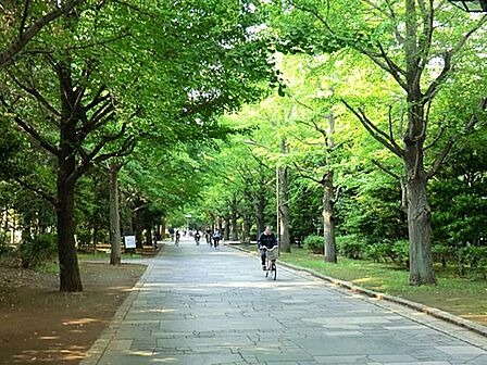 夏の雲公園まで約351m