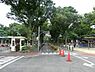 周辺：杉並児童交通公園まで約488m