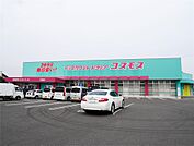 ディスカウントドラッグコスモス巨勢店(1、230m)
