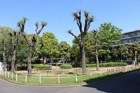 小鳥の来る公園 502m